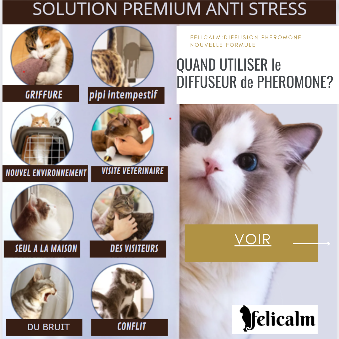 COMMENT et QUAND UTILISER le DIFFUSEUR de PHEROMONE?