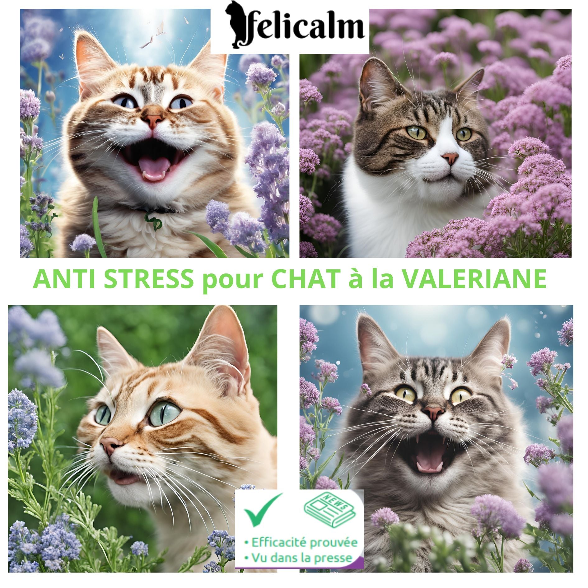 les secret d ela valériane des chats heureux