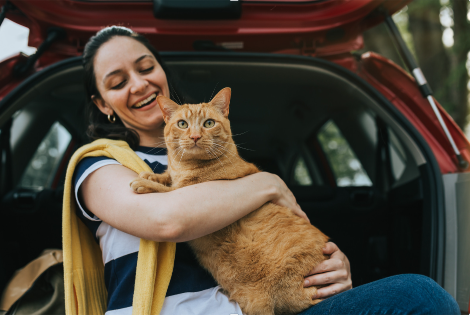 Conseils de Voyage avec un Chat en Voiture : Assurez un Voyage Serein