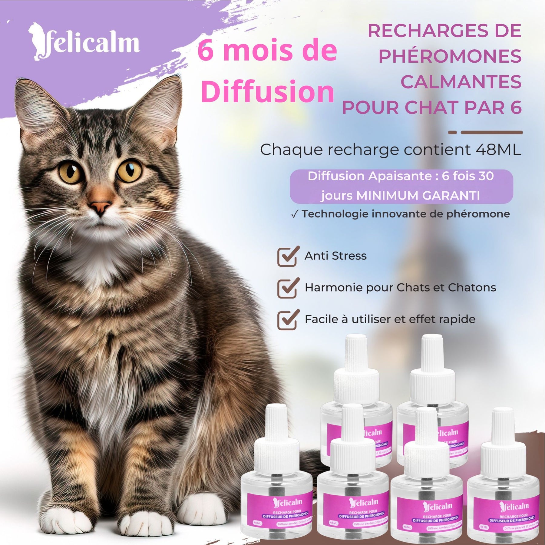 Boite économique 6 recharges Felicalm – Phéromone Anti-stress chats & chatons