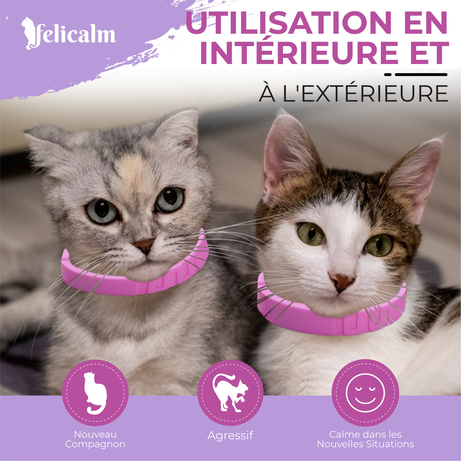 Pack Anti-Stress Chat – 2 Colliers & Spray Phéromone Valériane