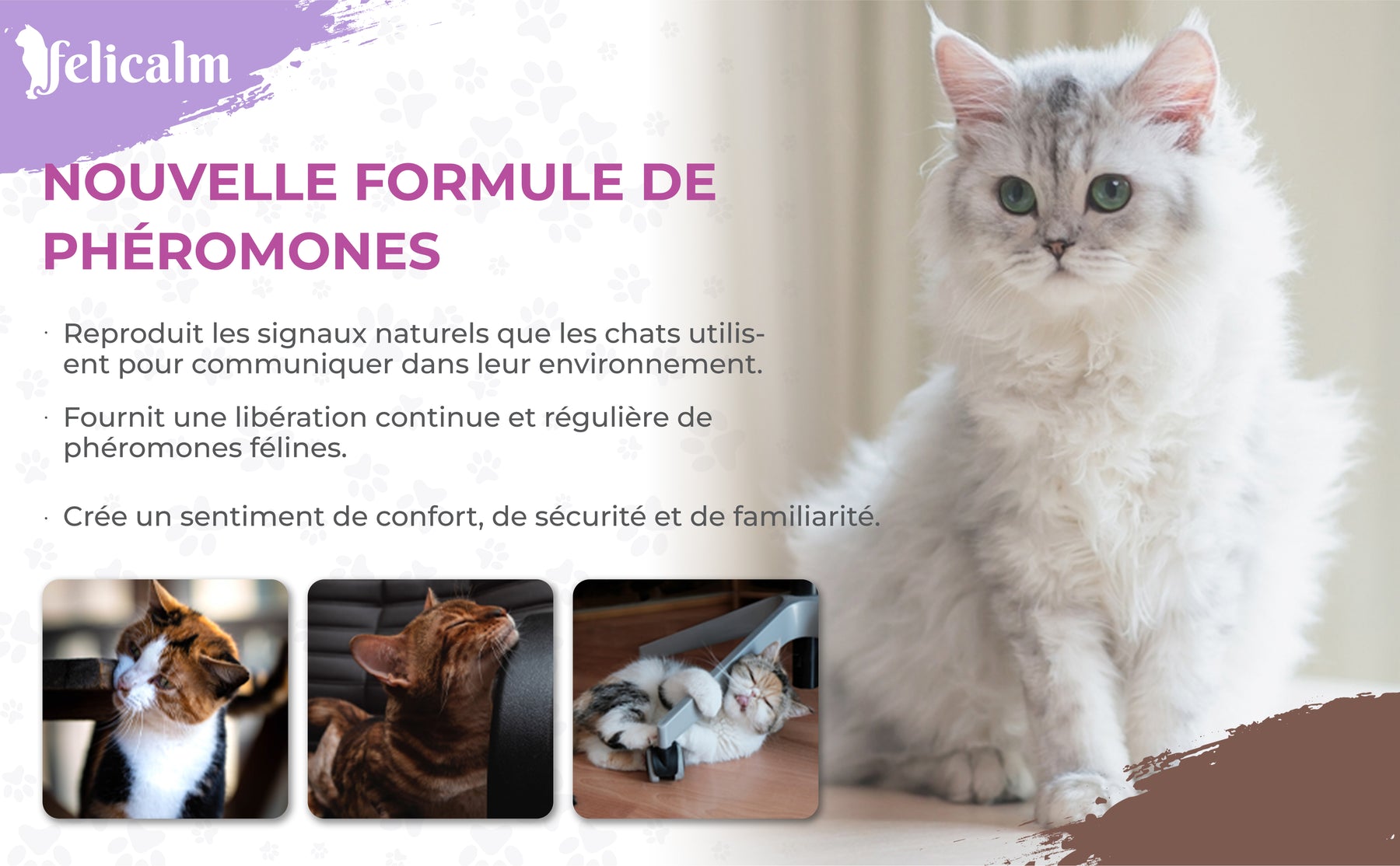 Pack Duo 2 Diffuseurs +2 Recharges Phéromones – Chats & Chatons