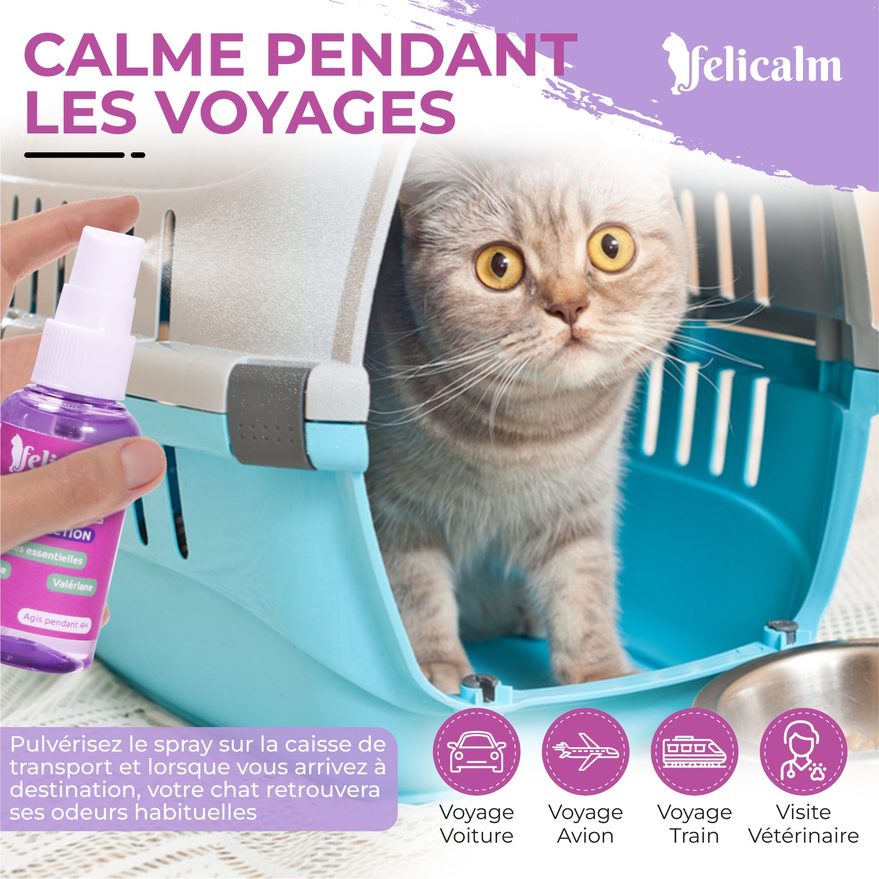 Pack Phéromone Chat – Spray + Diffuseur Anti-Stress chat | Felicalm