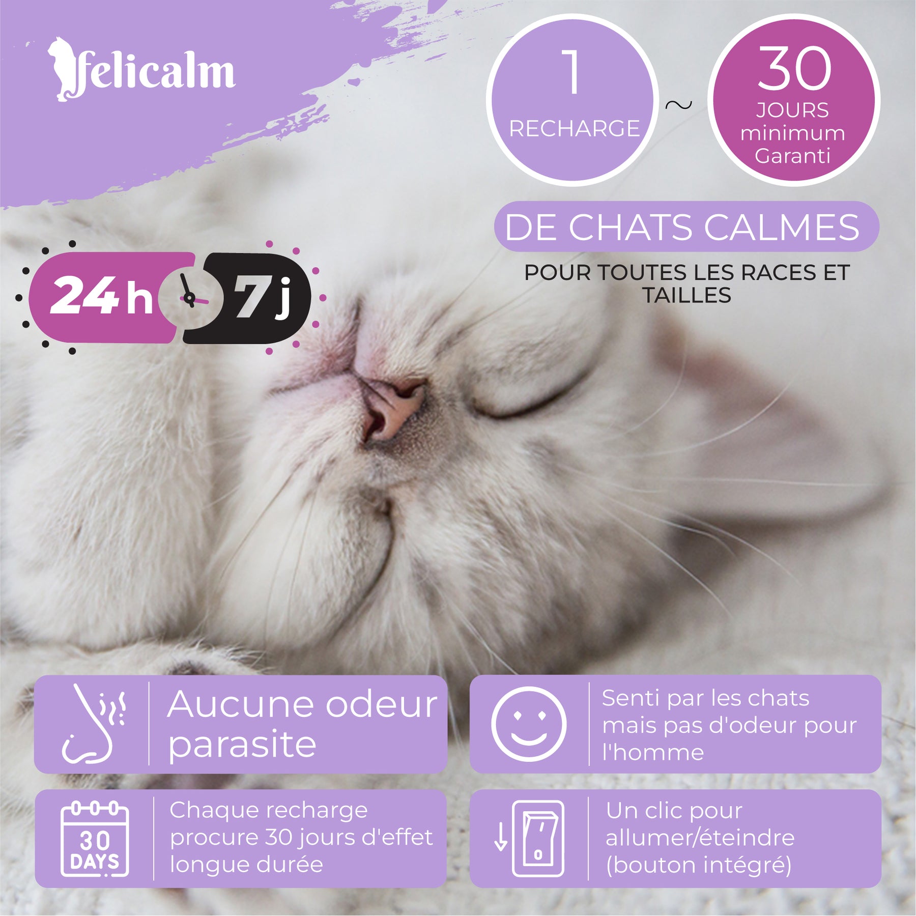 chat rassuré qui dort bien grâce au diffuseur de phéromone sans odeur félicalm