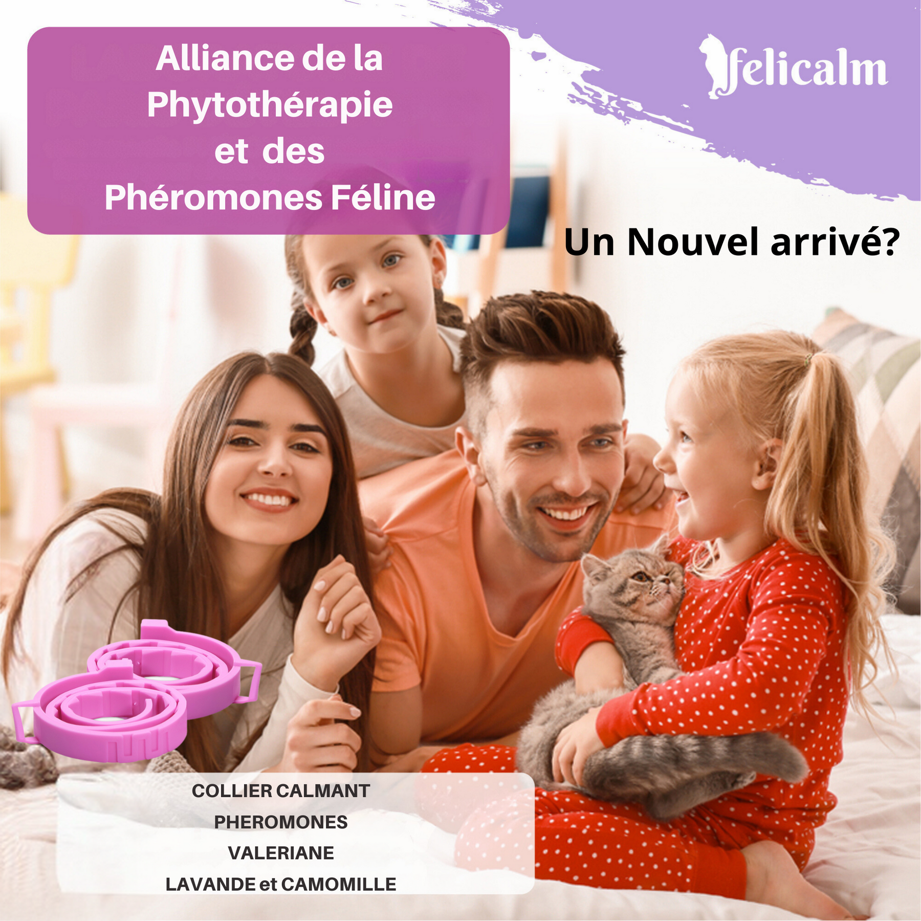 COLLIER ANTI STRESS POUR CHAT -VALERIANE PHEROMONE- BONHEUR et CONFIANCE