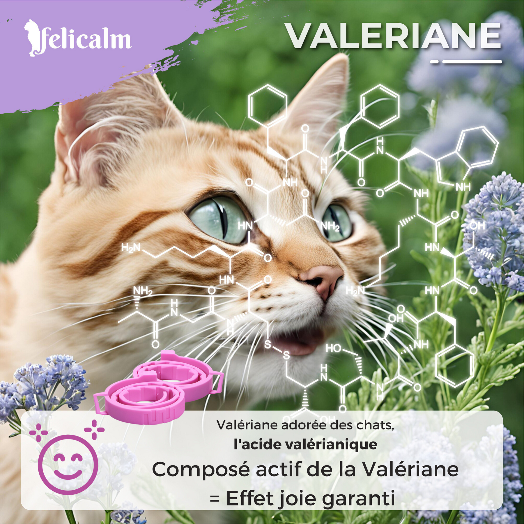 Pack Anti-Stress Chat – 2 Colliers & Spray Phéromone Valériane