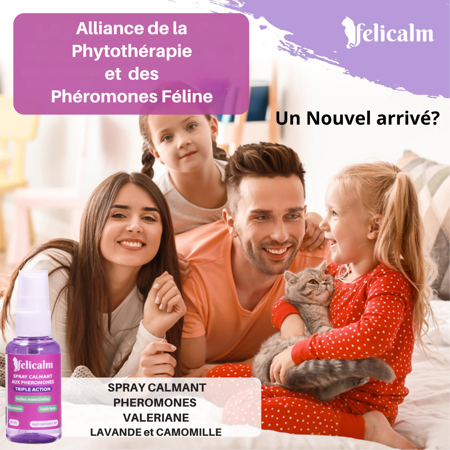famille Plein de bien-être avec son nouveau chaton grace au spray phéromone et valériane