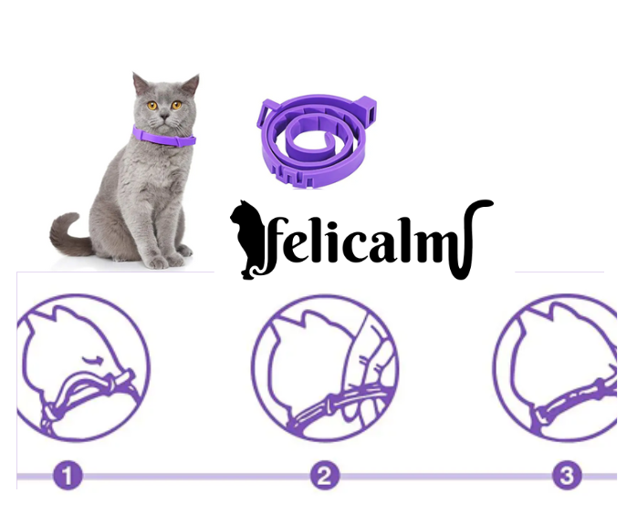 mode emploi pour mettre son collier calmant félicalm a son chat
