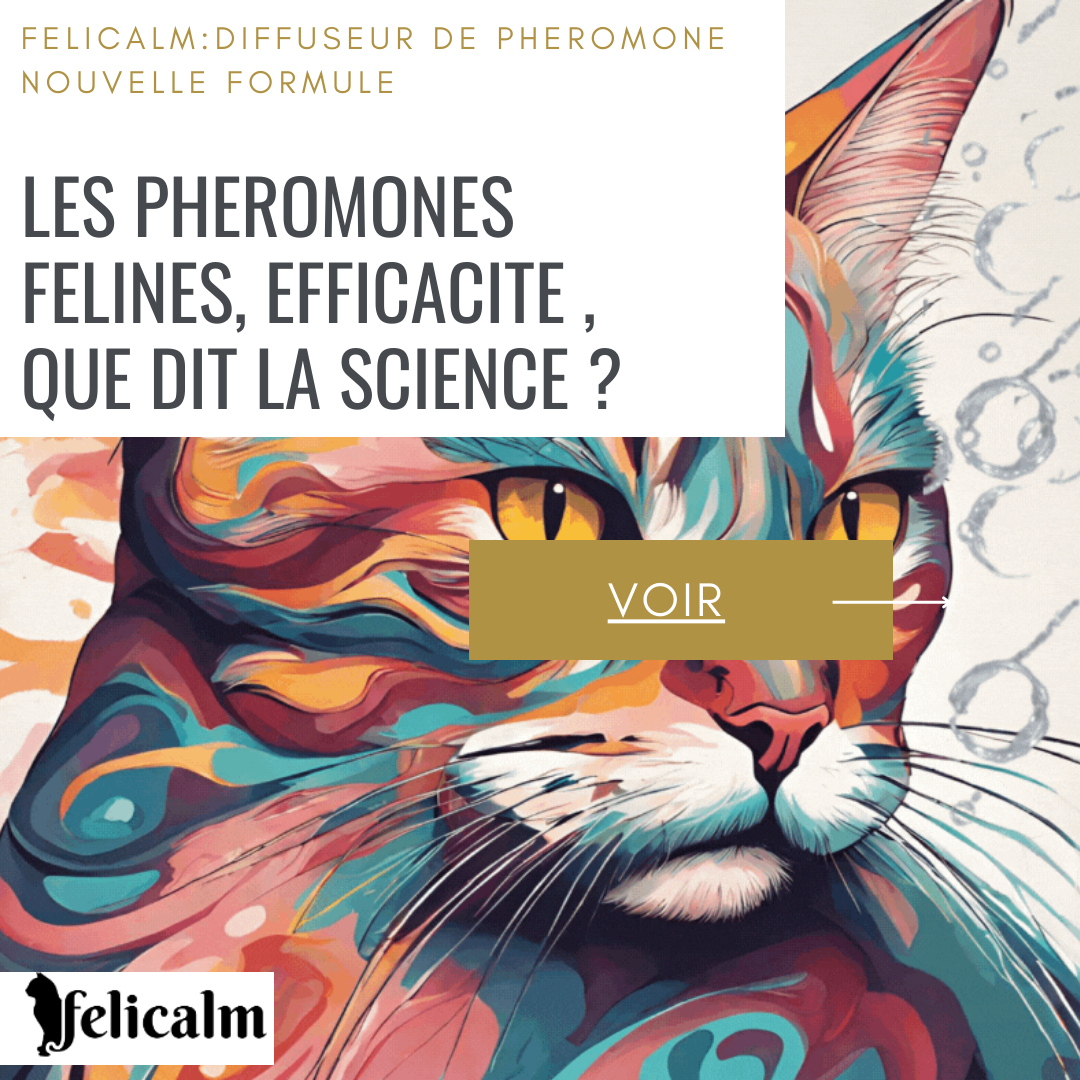 pheromone pour chat