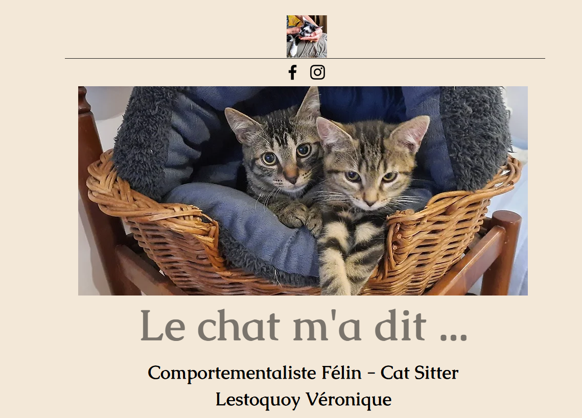 Comment protéger son chat des chaleurs de l'été.