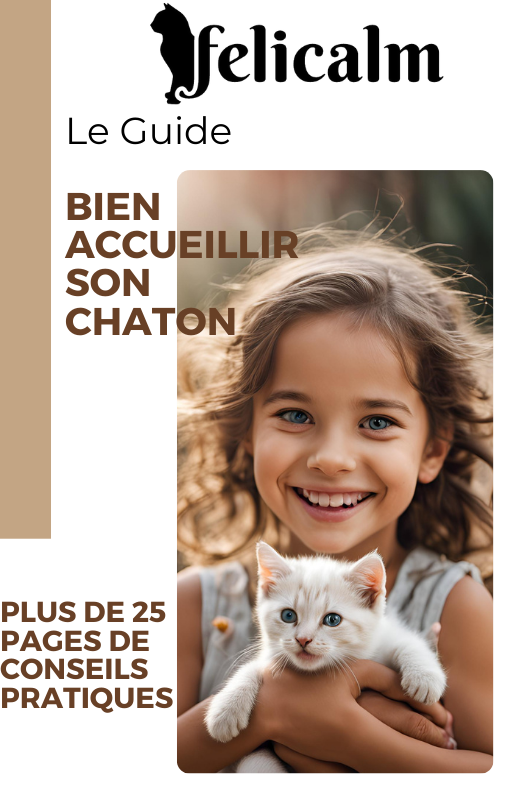 guide comment bien accueillir son chat et chaton