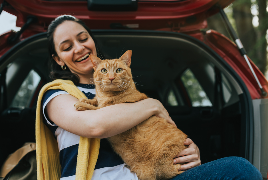 Voyager en Voiture avec votre Chat : Conseils pour un Voyage Serein: anti-stress chat voiture