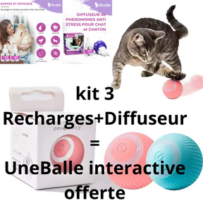 KIT DIFFUSEUR et 3 RECHARGES = Une balle Interactive GRATUITE