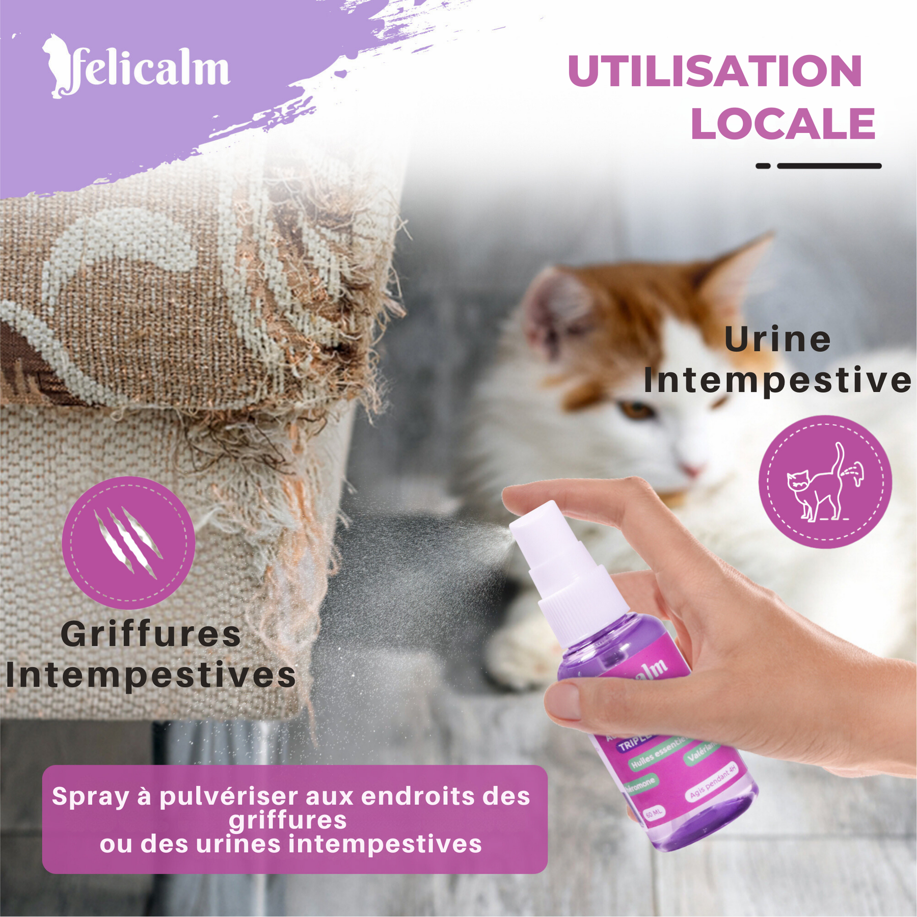 SPRAY CALMANT pour CHAT-application localisée-RECONFORT, CONFIANCE et APAISEMENT