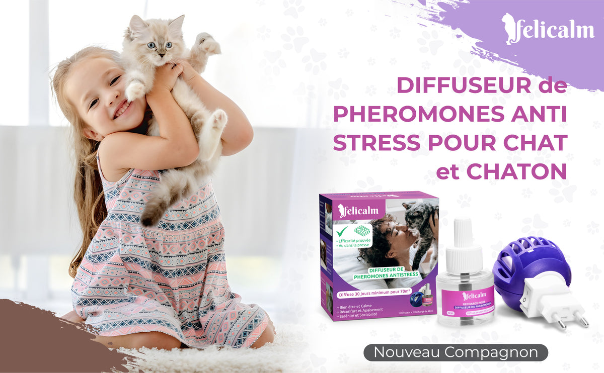Pack Duo  2 Diffuseurs +2 Recharges Phéromones – Chats & Chatons