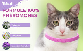 COLLIER ANTI STRESS POUR CHAT -VALERIANE PHEROMONE- BONHEUR et CONFIANCE