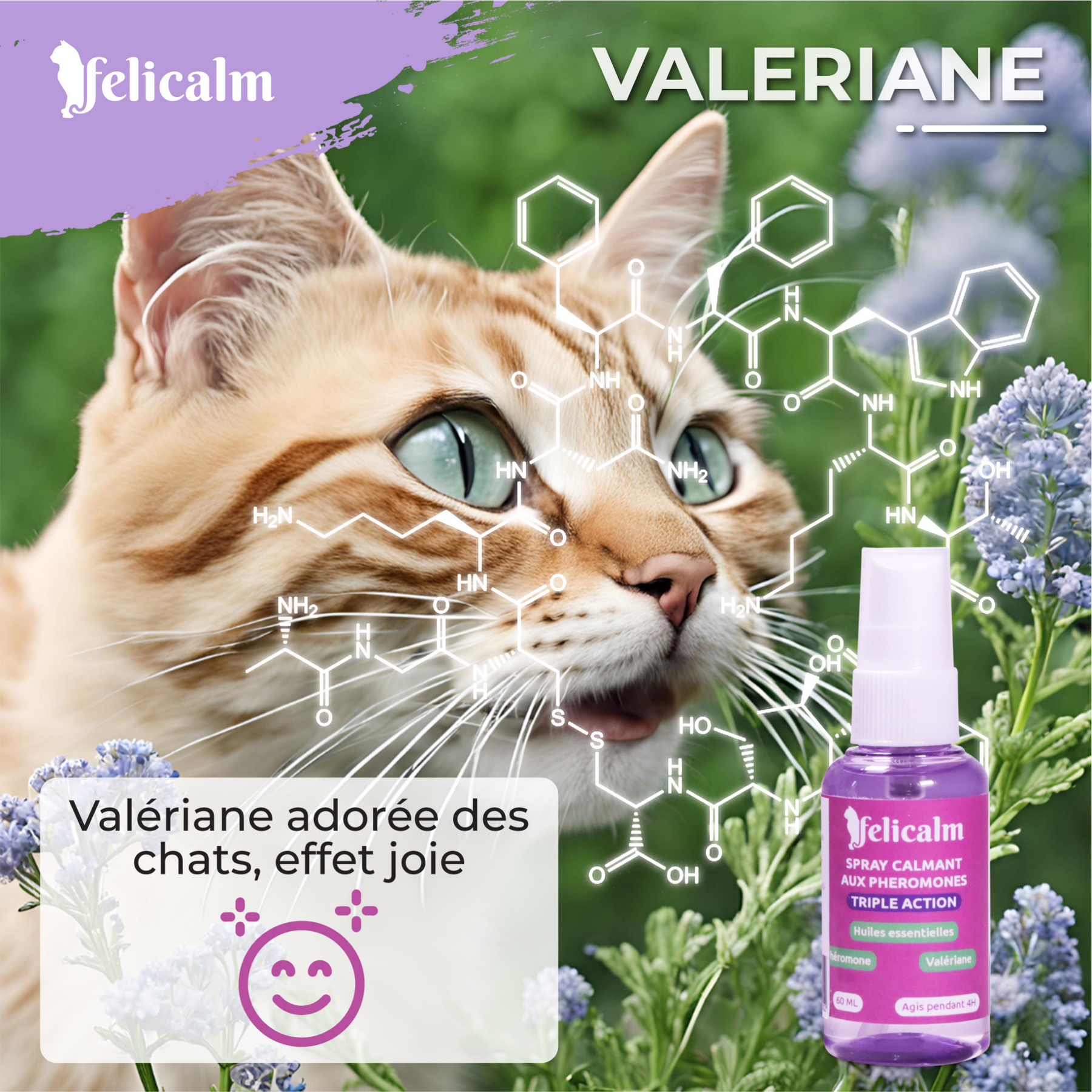 Spray Anti-stress Pour Chats - 2 Flacons, Phéromones Apaisantes, Réduit L'anxiété - Pour Voyages, Feux D'artifice, Déménagement
