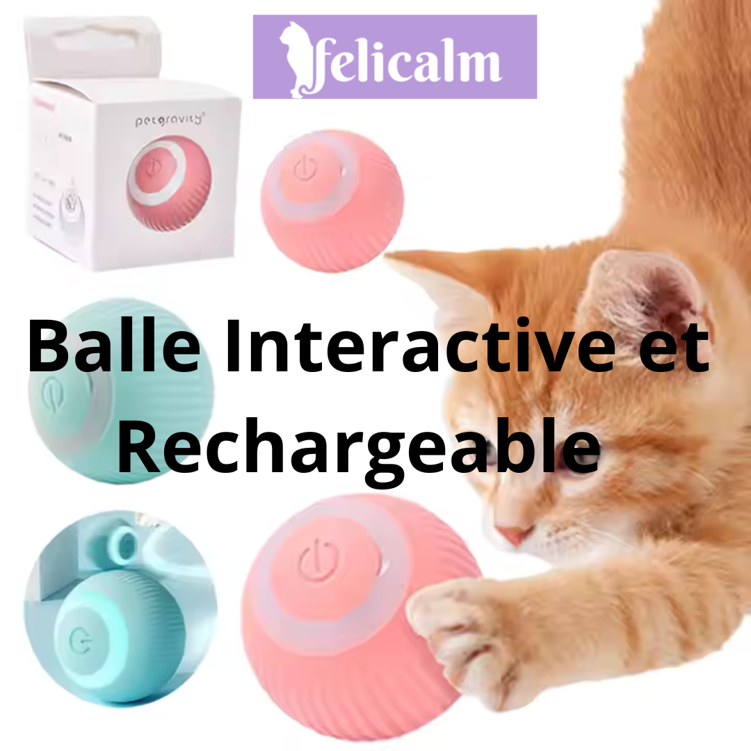 JOUET - BALLE INTERACTIVE_ Mouvement Intelligent, Balle Auto-Roulante pour Chats et Chatons