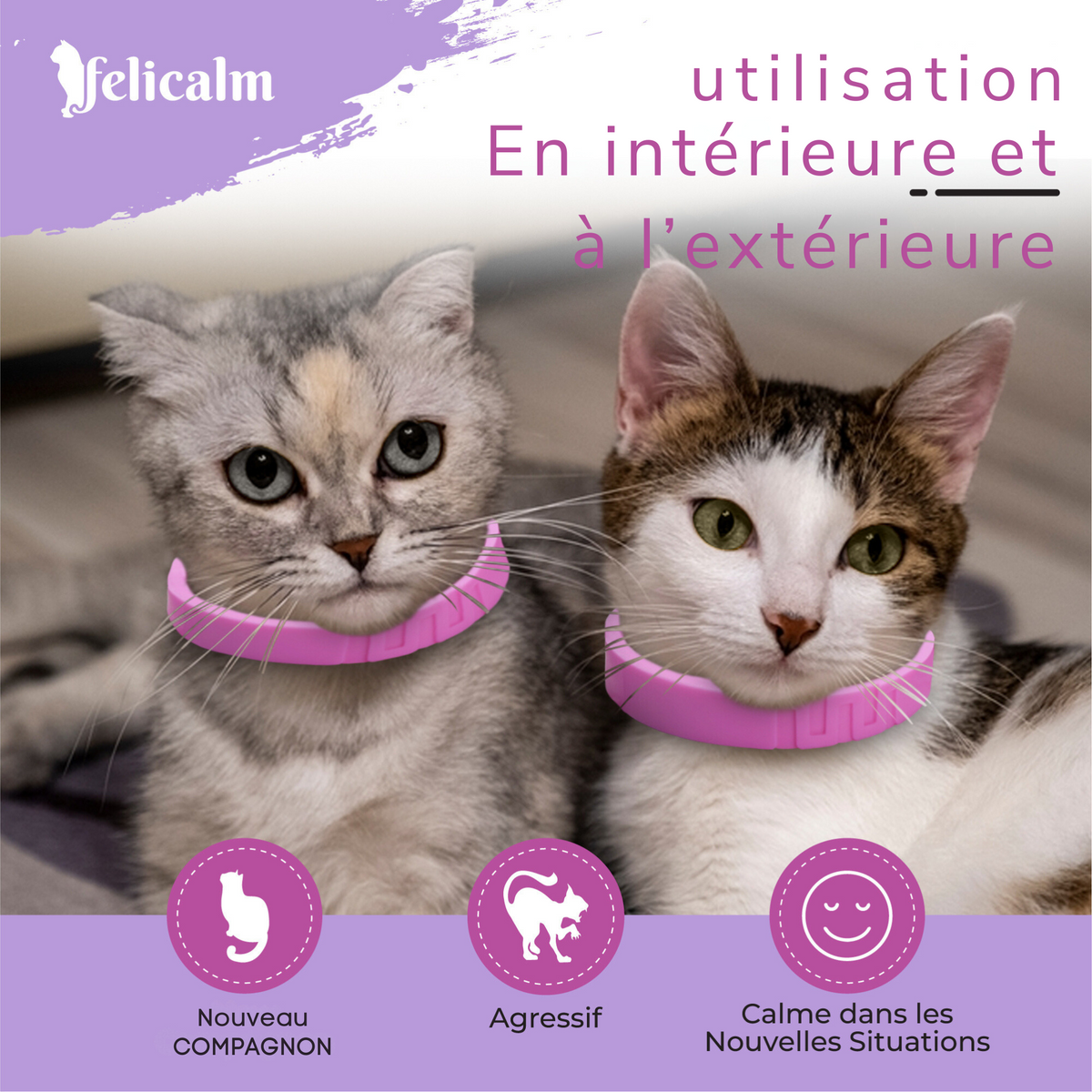collier apaisant pour chat  à l'intérieur comme à l'extérieur 