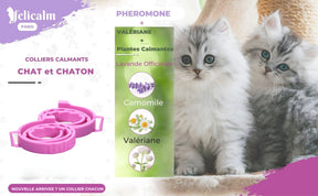 COLLIER ANTI STRESS POUR CHAT -VALERIANE PHEROMONE- BONHEUR et CONFIANCE