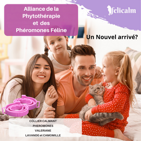 COLLIER ANTI STRESS POUR CHAT -VALERIANE PHEROMONE- BONHEUR et CONFIANCE