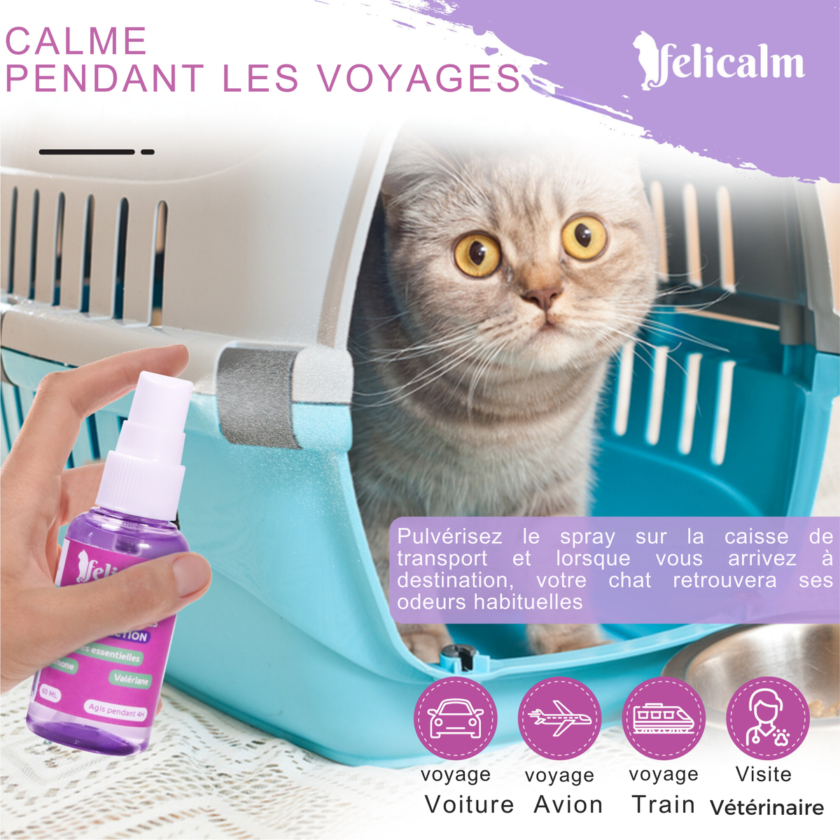 Pack Anti-Stress Chat – 2 Colliers & Spray Phéromone Valériane