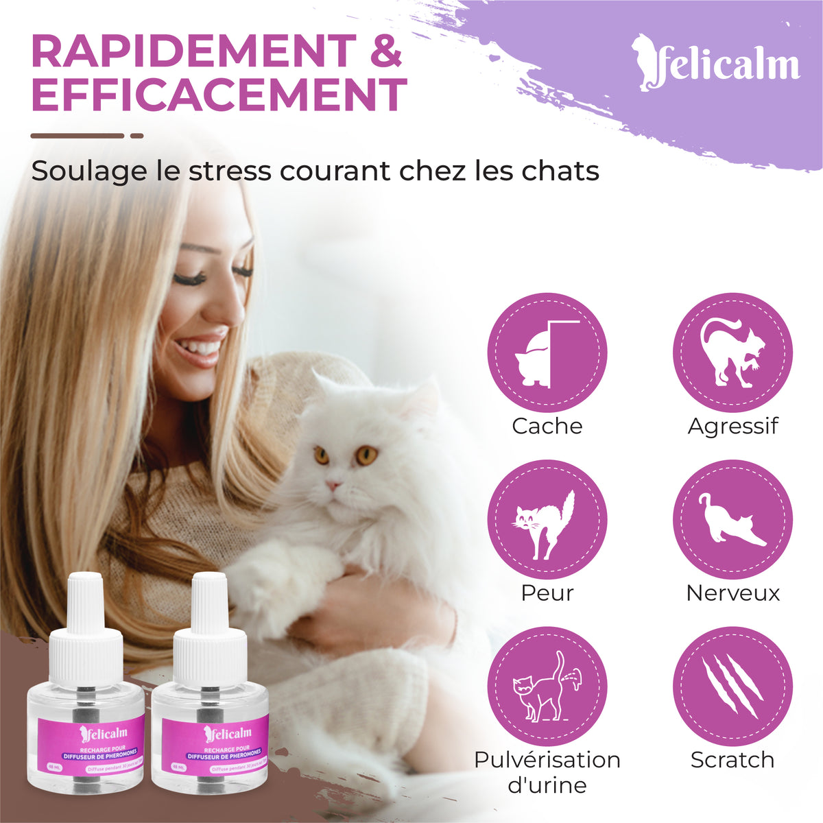 utilisation des phéromones félines soulage les peurs et l'agressivité du chat 